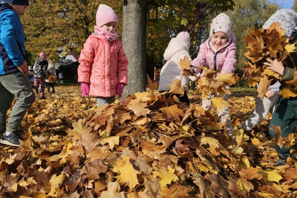 Jesień w grupie MOTYLKÓW
