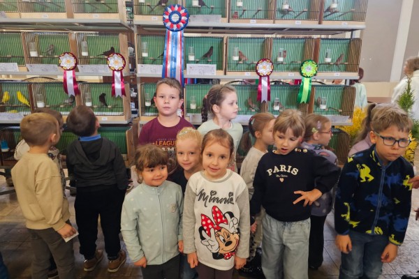 Motylki na wystawie ptaków w GOKu