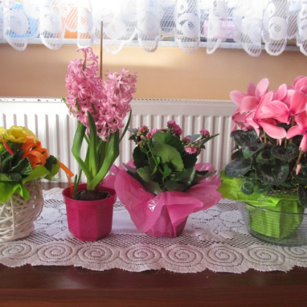 ZDROWIE NASZYCH DZIECI