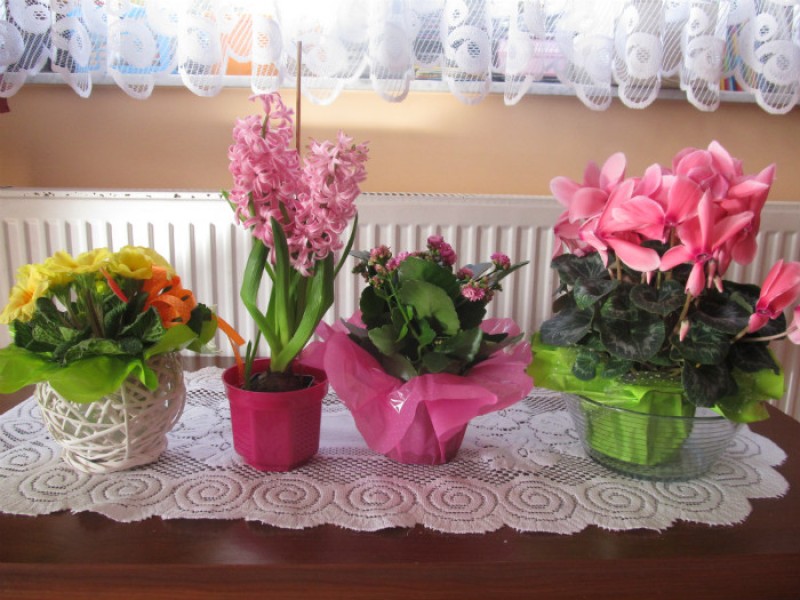 ZDROWIE NASZYCH DZIECI