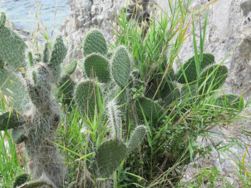 WITAMY PRZEDSZKOLAKÓW